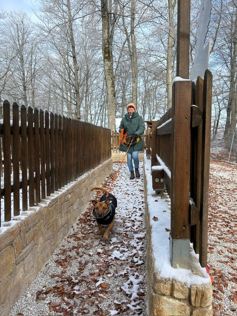 fdb09e6b-a789-4bd3-8a03-23d8e784b185