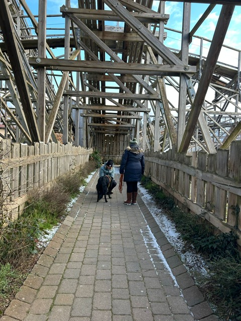 145FFA88-FB6F-4028-8365-EAC75EB52F5E