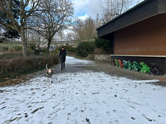 3389D421-D804-4E8D-8D49-CA59BF89E434