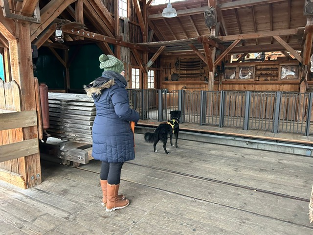 5AD2F06C-9010-4C47-B46F-46265CD2A065