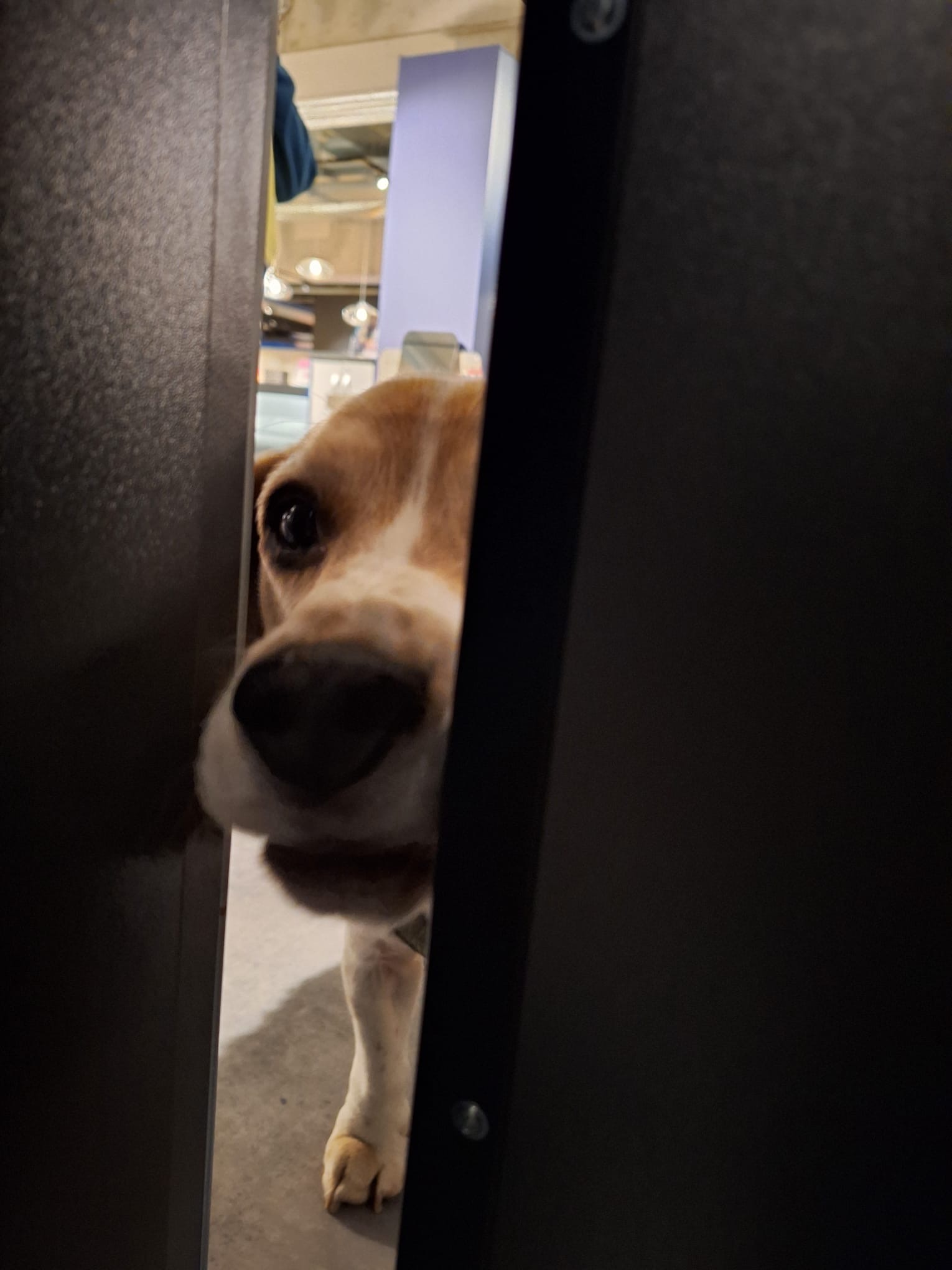 68e0f729-f22f-4ecb-8a3c-55a7102af4f7