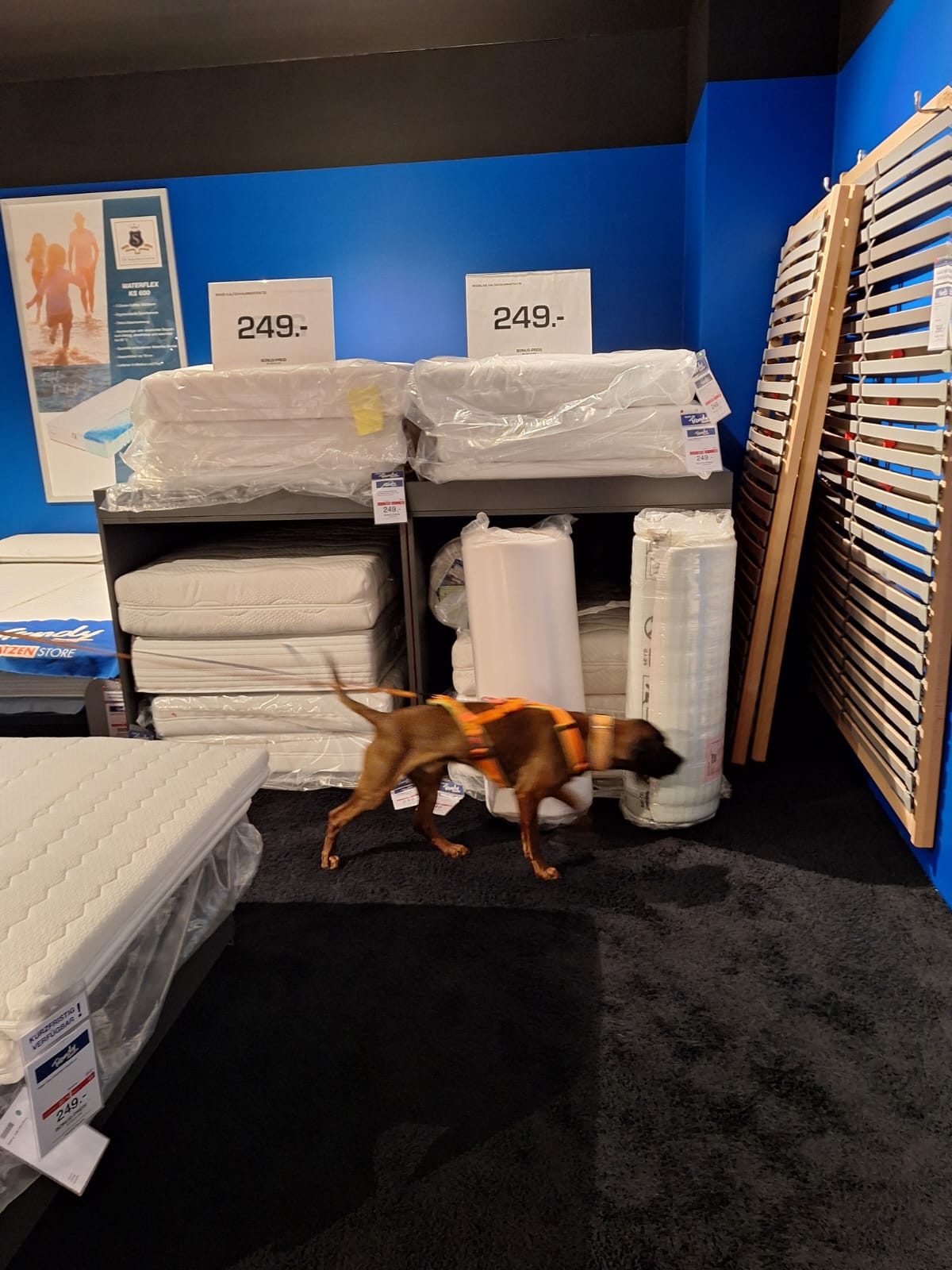 82da1dc8-096e-4af4-a9f6-5307040ebb1e