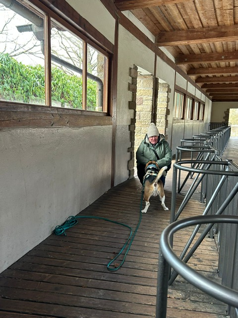 897B0203-E083-4060-B7B5-7A643DCEA676