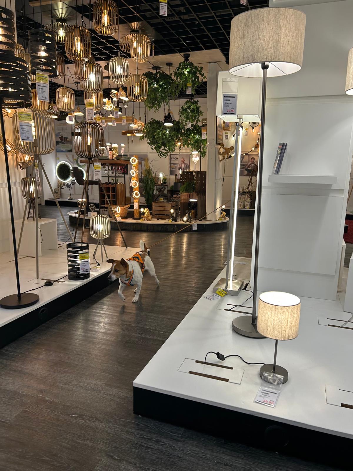 8ea627ea-a0ed-406c-9702-24948f16507f