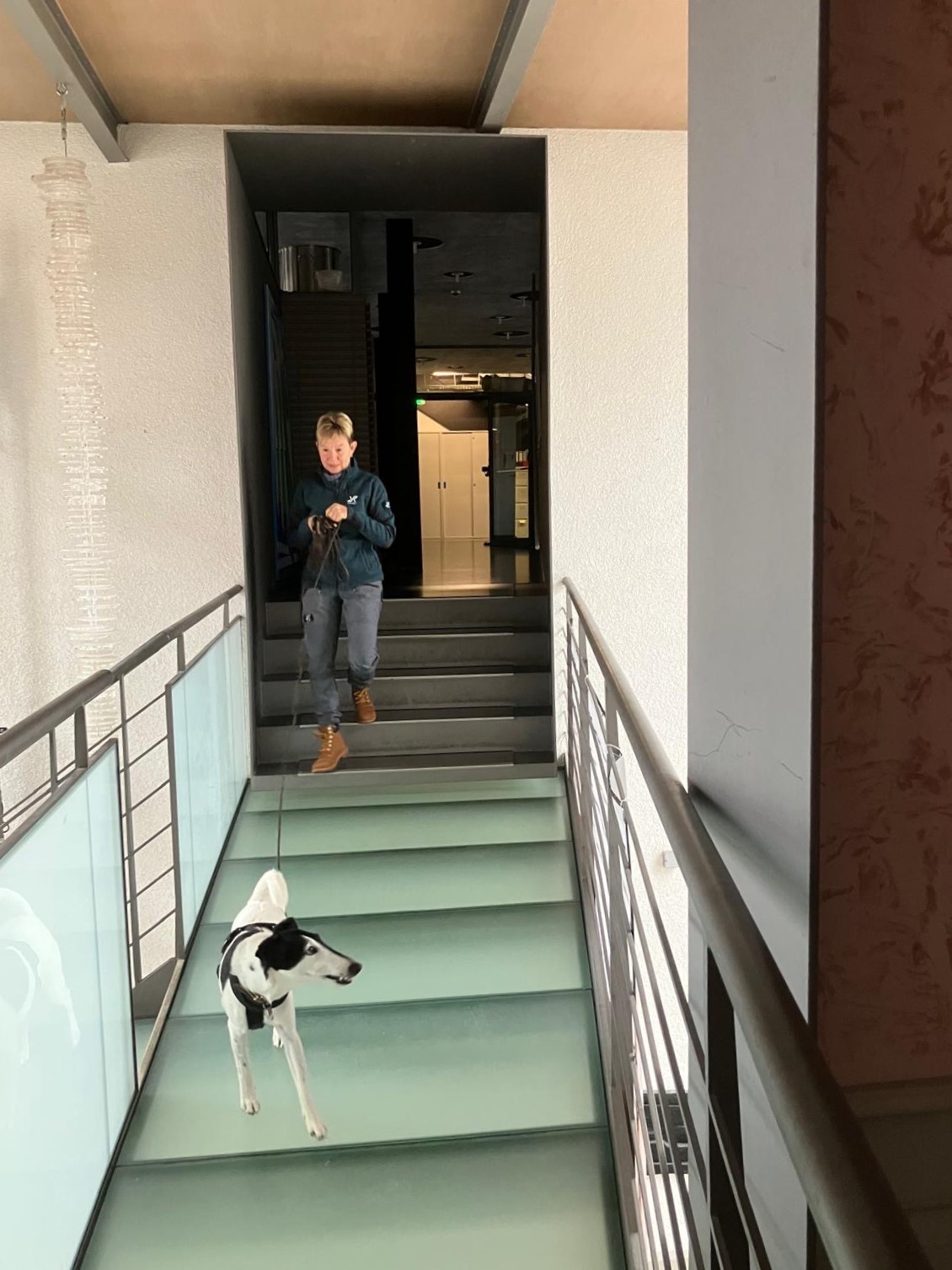 097ffc1a-e9bf-4747-8c05-8a4847914dfe