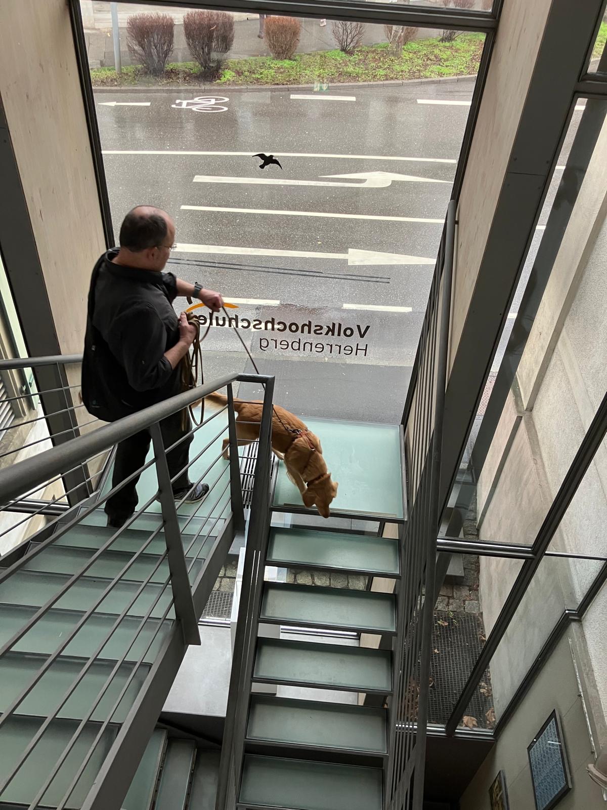 1f6af8a4-1a95-4724-9910-eaa6a1c472aa