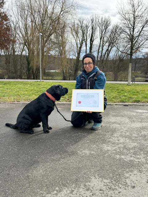 6eff7ba7-fa66-4a81-b623-474c0196c9e0