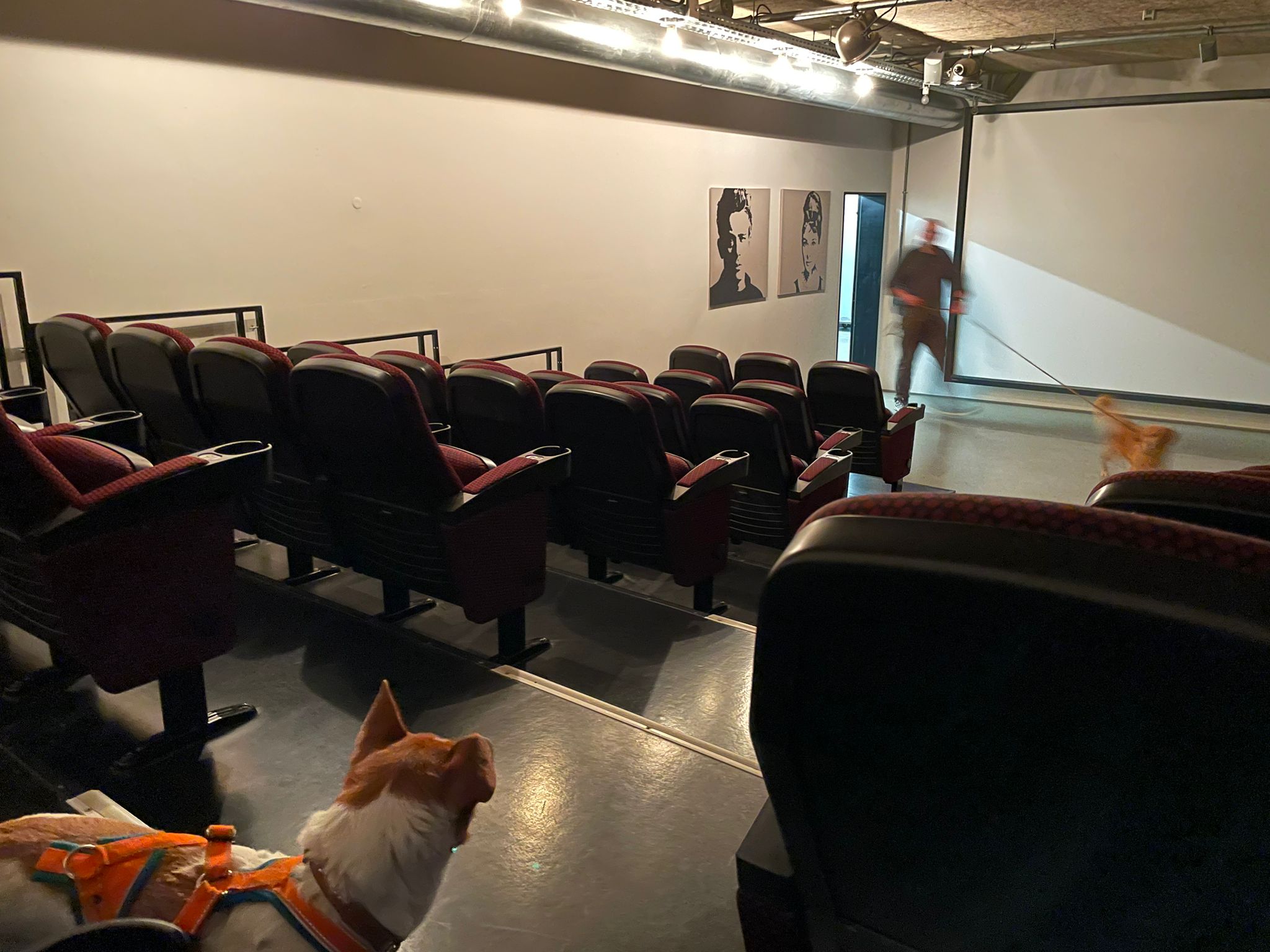 8bd73527-13d0-4660-b565-7c7b1844ae9c