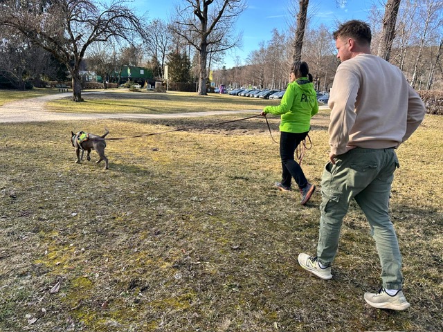 3137c0ee-9da5-4c52-815c-5e0d5ccdd424