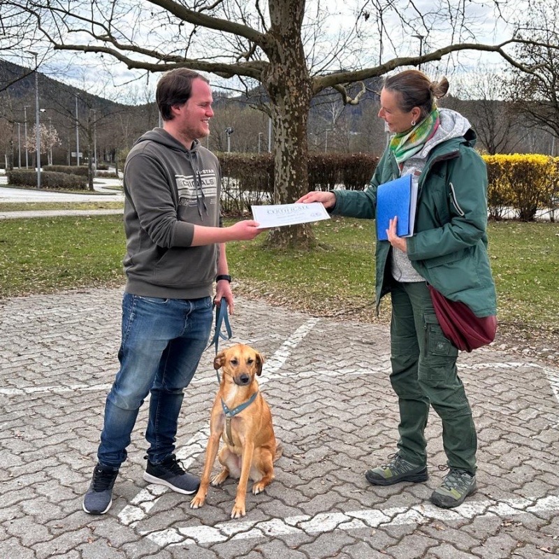 820328db-c403-4db2-a19f-9059cf9b2d97