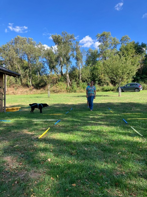 2f003be8-3cd2-4a9f-b7df-9285fb869918